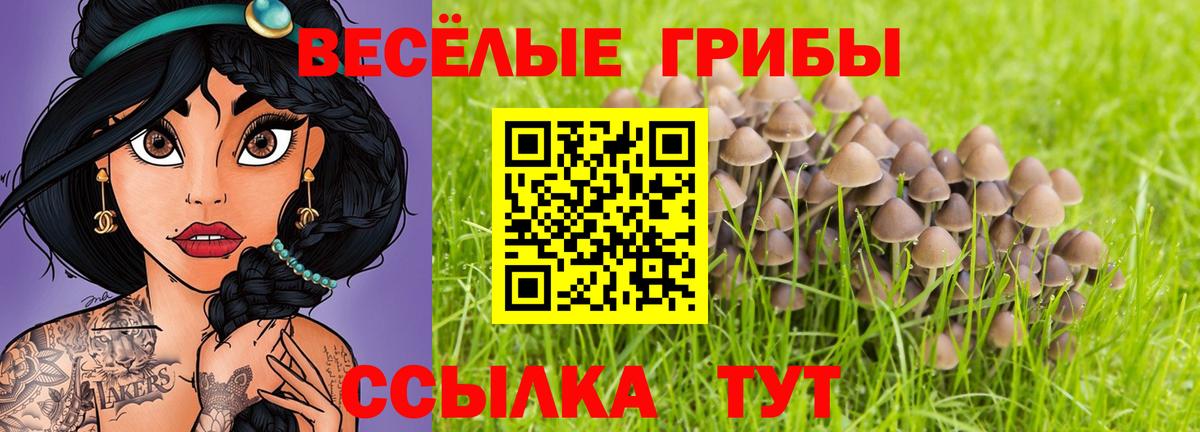 Набережные Челны  где найти наркотики  Псилоцибиновые грибы мухоморы  Вход с VPN  Галлюциногенные грибы Magic Shrooms 