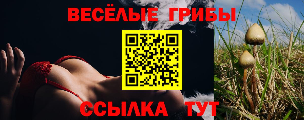 Псилоцибиновые грибы Psilocybine cubensis Набережные Челны